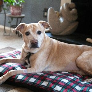 Meet your Posher, Jacqueline